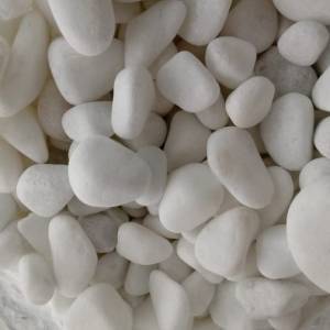 Pedras Para Jardim