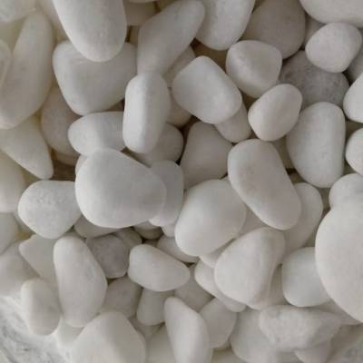 Pedras Para Jardim